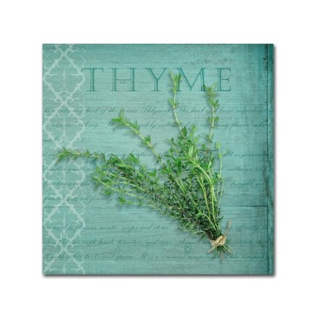 Trademark Fine Art Cora Niele 'Classic Herbs Thyme' Canvas Art, 35x35 ALI16535-C3535GG
